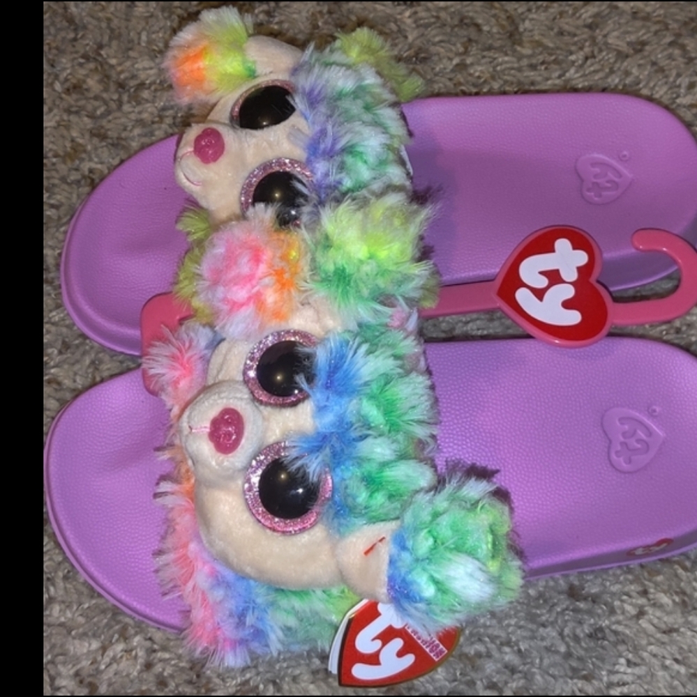 Ty Rainbow the poodle slides